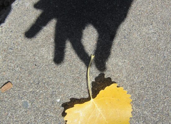 la confiance en soi est comme ce symbole d'une main tenant une feuiile en forme coeur qu'elle ramasse du sol