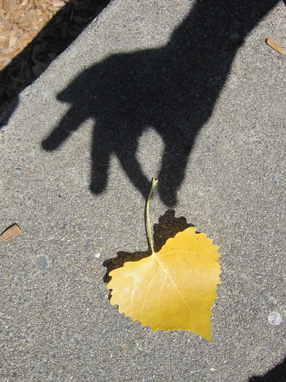 la confiance en soi est comme ce symbole d'une main tenant une feuiile en forme coeur qu'elle ramasse du sol